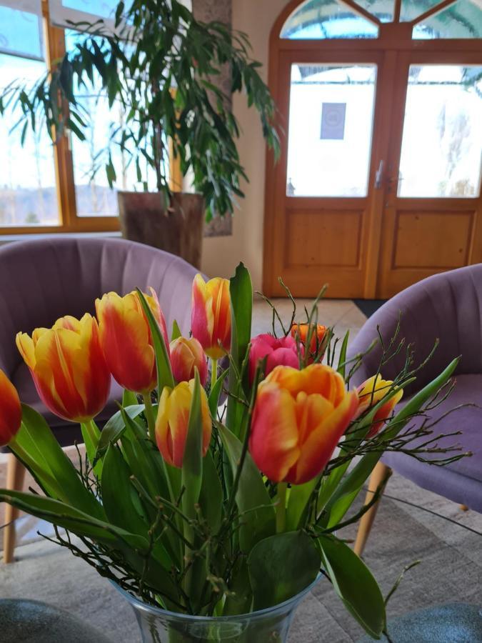 Dreilandhof Hotel Fürstenfeld Eksteriør billede